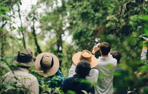 Rwanda Primate Adventure